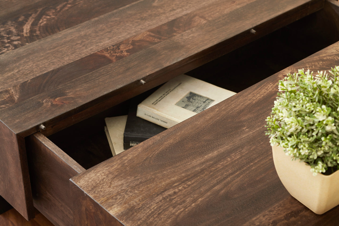 Coffee Table with Sliding Top in Olive